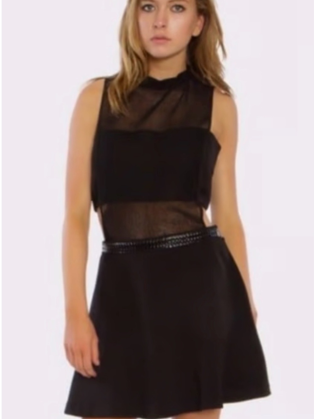 Endless Rose Black Mesh Panel Dress